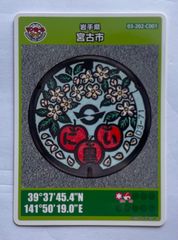 非売品】マンホールカード(英語版)岩手県釜石市【A】002 - メルカリ
