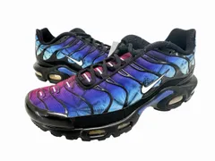 ナイキ NIKE Air Max Plus 25th Anniversary  エアマックスプラス アニバーサリー FV0393-001 27 マルチカラー ブランド古着ベクトル 中古▲■260322