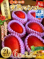 鹿児島県産 ご家庭用　完熟マンゴー2L 6玉　d 鹿児島県産 ご家庭用 完熟マンゴー2L 12玉 b - メルカリ