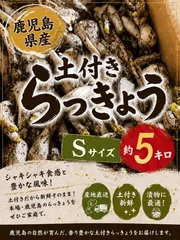 2026年最新】土付き らっきょうの人気アイテム - メルカリ