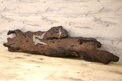 【極美品】TRADMAN'S BONSAI × KINOKO コラボ 木製盆栽台 極美品】TRADMAN'S BONSAI × KINOKO コラボ 木製盆栽台 - メルカリ