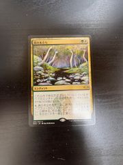 MTG 真の木立ち 2枚 日本語 通常1枚 エッチングfoil 1枚 - メルカリ