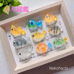 シーグラスアート❣️ウミウシ立体図鑑♡アクアリウム 海の贈り物