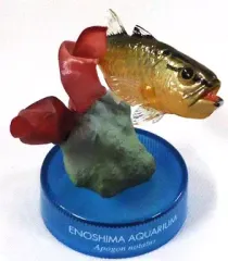 【中古】トレーディングフィギュア クロホシイシモチ 「新江ノ島水族館立体生物図録2」のサムネイル