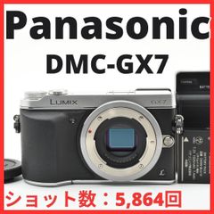 Panasonic DC-GF9 シルバー 14-42mmレンズキット - メルカリ