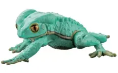 【中古】トレーディングフィギュア ソバージュネコメガエル(ミントグリーン) 「アニマリエコレクション 1/1アメフクラガエル＆ソバージュネコメガエルII ブラインドボックス版」のサムネイル