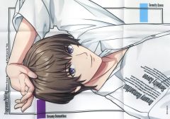 うたプリ 鳳瑛一 B2サイズ布ポスター - メルカリ