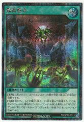 遊戯王 ラッシュ 宙上がりコスモス姫 オーバーラッシュ 絵違い KP24