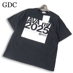 GDC AVA hA Tシャツ RINNE kj 降谷建志 dragon ash - メルカリ