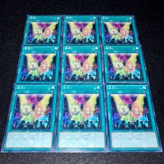 遊戯王】No.6265 ヒーローアライブ PP13 シク シークレット 3枚 - メルカリ