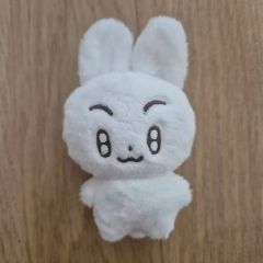 SEVENTEEN セブチ ドギョム ぬいぐるみ 10cm マスター 도토리 - メルカリ