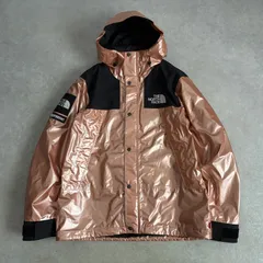Supreme × THE NORTH FACE 18SS Metallic Mountain Parka メタリック マウンテンパーカー シュプリーム ノースフェイス