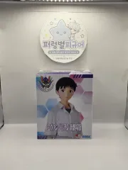 未開封 セガ ハイプレミアム フィギュア エヴァンゲリオン ヱヴァンゲリヲン新劇場版 碇 シンジ