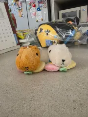 カピバラ セット