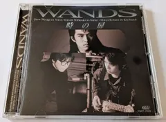 WANDS ワンズ　上杉昇　ドッグタグ　ネックレス　VIDEO JUNK グッズ 2026年最新】上杉昇 wandsの人気アイテム - メルカリ