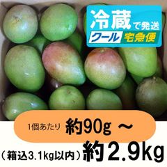 橙5-4】約4.7kg グリーンマンゴー 青マンゴー マンゴー 摘果マンゴー