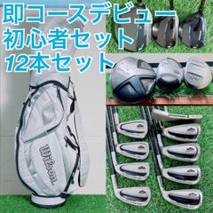 初心者おすすめ ゴルフクラブ セット ヨネックス入り メンズ 9本 B3734