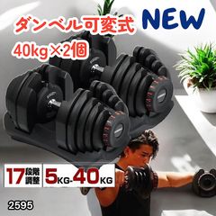 ほぼ未使用/ライシンパンプキング/可変式ダンベル40kg×2つ+スタンドPro 