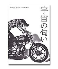 浅井健一「宇宙の匂い」詩集、ダイアリー&ストリーズ 初版限定函入り