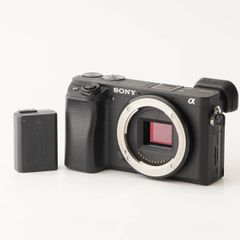 即日発送】SONY α6400 ミラーレス ダブルレンズ ボディケース付き