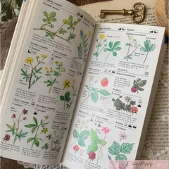 2026年最新】植物図鑑 洋書の人気アイテム - メルカリ