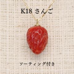 さんご ペンダントトップ A5533 3.605ct K18 珊瑚サンゴ 小判 - メルカリ
