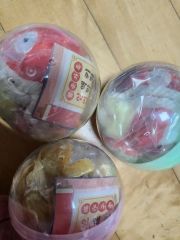 ポケモン 韓国限定 魔除け コイキング キーホルダー 3種コンプ 金