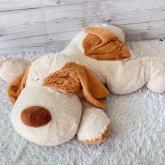 大谷翔平 犬ぬいぐるみ ニトリぶち犬タロー抱き枕 - メルカリ