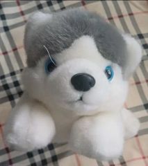 【非売品/新品】セイコーマート 景品 ハスキー犬 ぬいぐるみ ブルーアイ 希少品/新品】セイコーマート 景品 ハスキー犬 ぬいぐるみ ブルーアイ