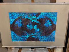 昭和レトロ 蝶 額飾り ブラジル モルフォ蝶 羽細工 インテリア 青い蝶
