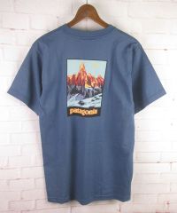 名作 葛飾北斎 アメリカ製 Patagonia パタゴニア Tシャツ - メルカリ