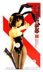 黒うさぎさん2001 オリジナルキャラクタ 湊川あまは 岡山FE ガレージキット 黒うさぎさん2001 オリジナルキャラクタ 湊川あまは 岡山FE ガレージ