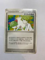 ポケモン　ミツルの育成のサムネイル