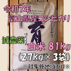 無印良品 羽毛掛け布団 二層式 キングサイズ 230X210 新品未使用 