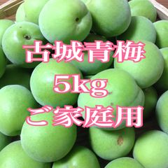徳島県 神山町産新鮮梅です 5月末頃に発送予定です、予約受付中