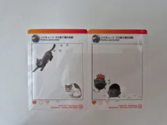 ハイキュー ゴミステバ アクリル カード 烏野高校 音駒高校