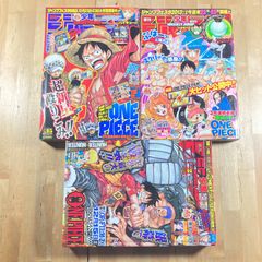 少年ジャンプ2010年44号 ONEPIECE 2年後 新世界スタート - メルカリ