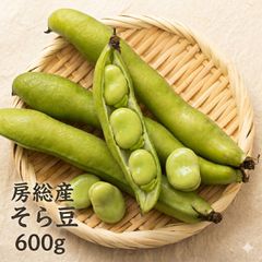 6/5収穫・発送】訳あり 絹さやえんどう 600g 福島県産 - メルカリ