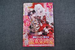 メガミマガジンRX vol.12 2022年12月 シュリンク付き ◇【中古】メガミマガジンRX Vol.12 2022年 12 月号 - メルカリ