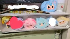 あきちゃん 特大ぬいぐるみ 約50cm 三英 サンエートイ ミニアキちゃん