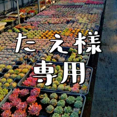 たえ様専用のサムネイル