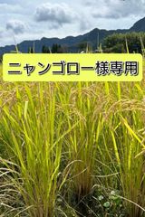 令和7年 自然栽培米イセヒカリ10kg玄米 - メルカリ