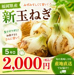 行者ニンニク 7～8年物 太球根苗 25株(球根) - メルカリ