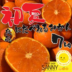 糖度18度以上‼️食べて損はない‼️せとか Lサイズ 3kg みかんキング
