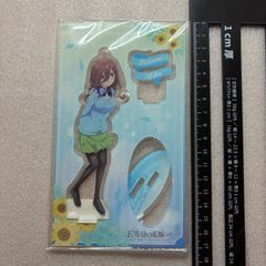 アドマイヤベガ 描き下ろし 缶バッジ ウマ娘 プリティーダービー ROAD