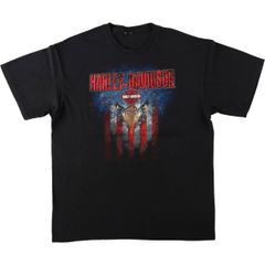 古着 ハーレーダビッドソン Harley-Davidson 鷲柄 イーグル柄 モーターサイクル バイクTシャツ メンズXL相当/eaa637588
