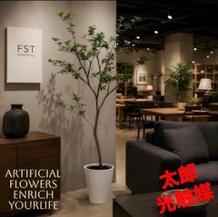光触媒 人工観葉植物 ウォールグリーン ゴールデンフィカスダブル1.2