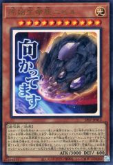 m-s様 リクエスト 4点 まとめ商品 - メルカリ