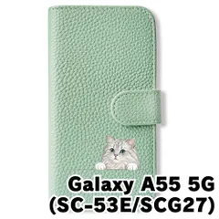 【新品未使用】 Galaxy A55 5G SC-53E SCG27 手帳型スマホ ケース カバー (色：アイスグリーン×グラデーションねこ) グラデーション猫 シンプル かわいい flip2-sc53e-icgr-424