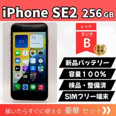 iPhone11Pro 256GB シルバー SIMフリー 動作確認済 新品バッテリー100